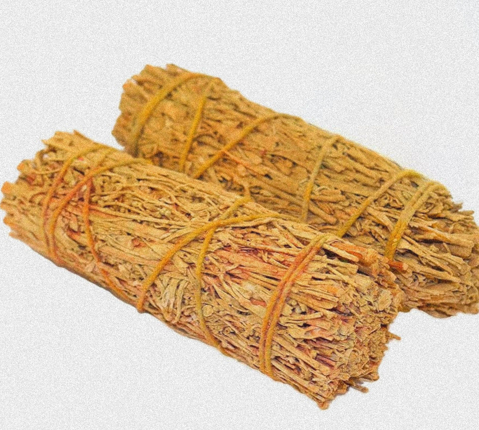 2026 Alignment Sages