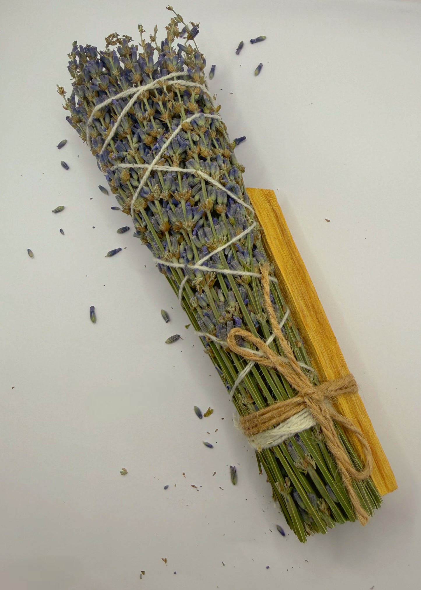 Venusian Large Sage Bundle