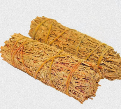 2026 Alignment Sages